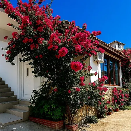 Luxury Dennis Feriehus Sarandë