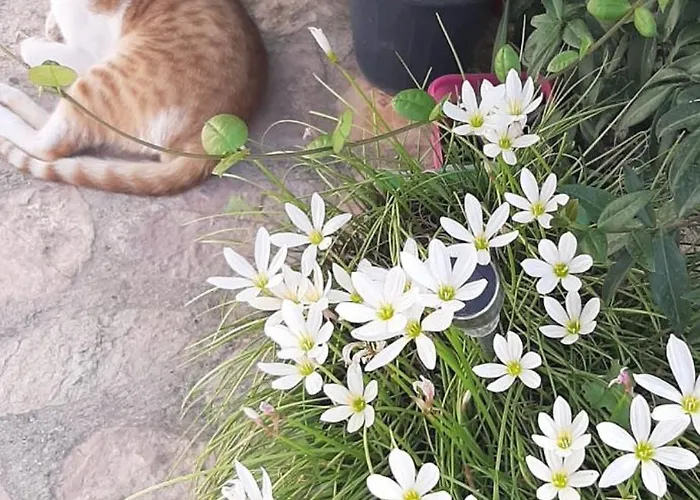 Сasa de vacaciones Luxury Dennis Sarandë