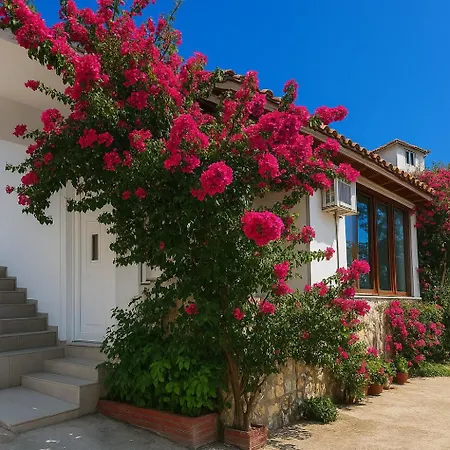 Luxury Dennis Tatil Evi *