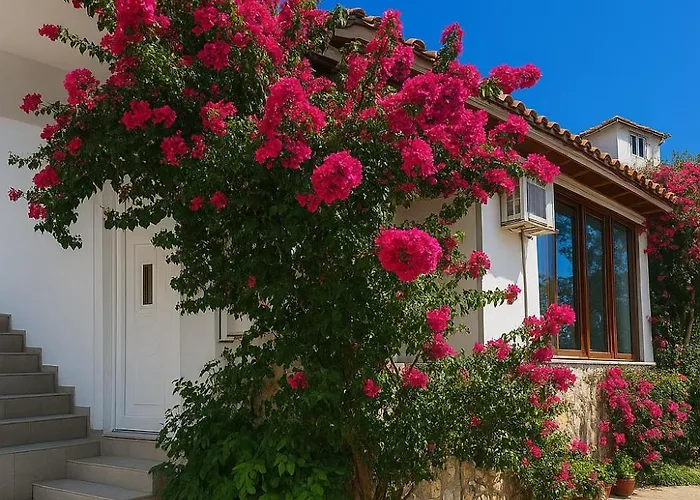 Luxury Dennis 度假居 *